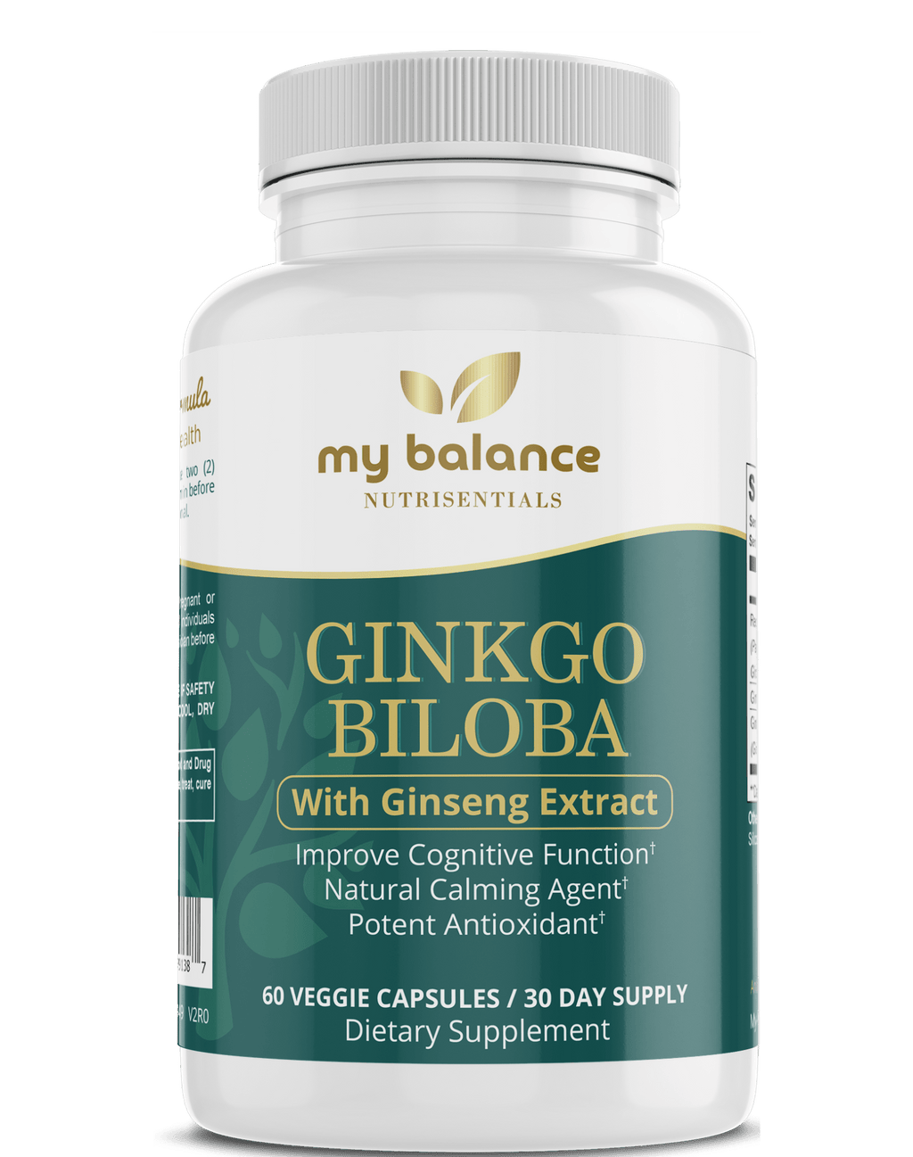 Ginkgo Biloba - Ancient Wisdom - Havenseng