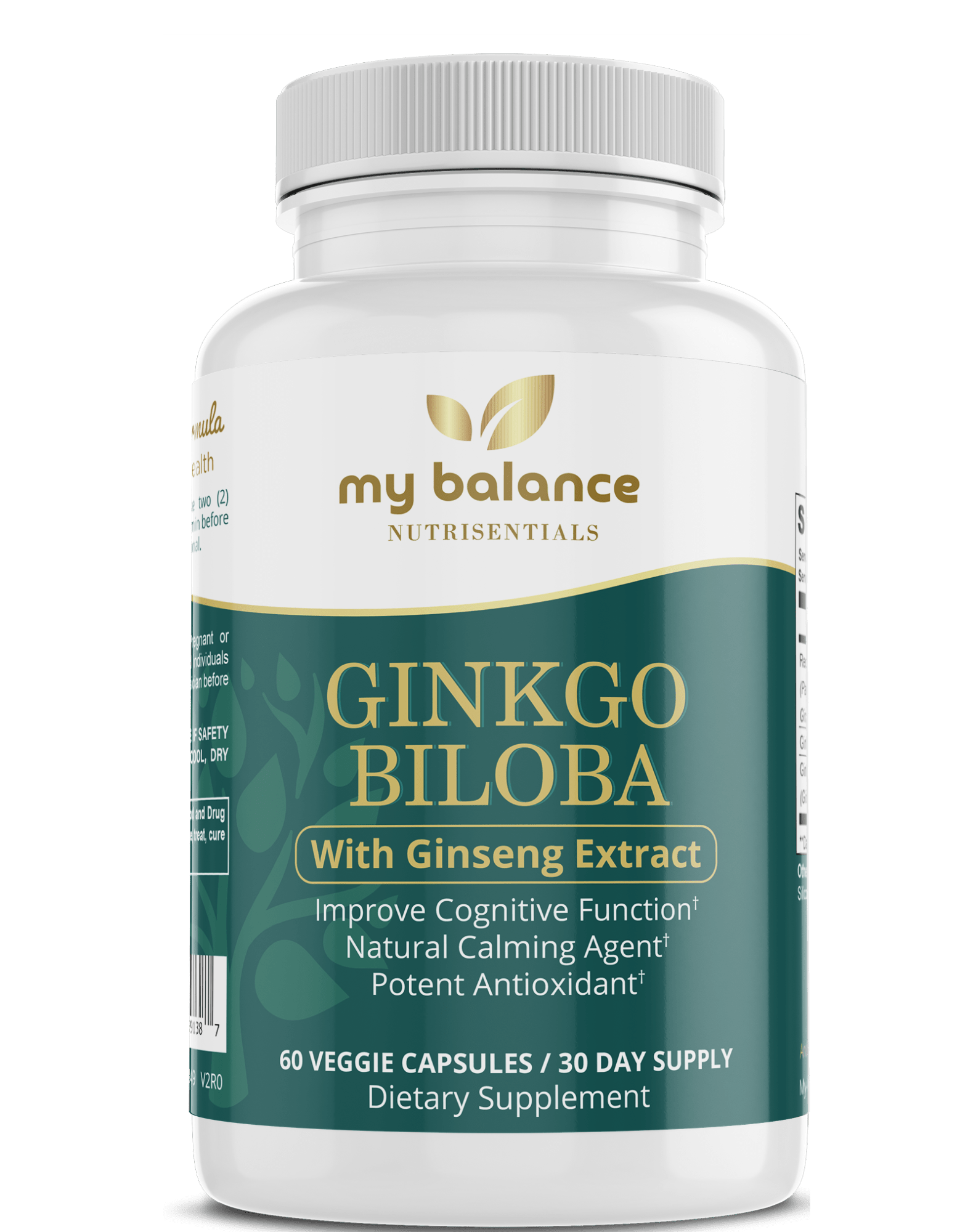 Ginkgo Biloba - Ancient Wisdom - Havenseng